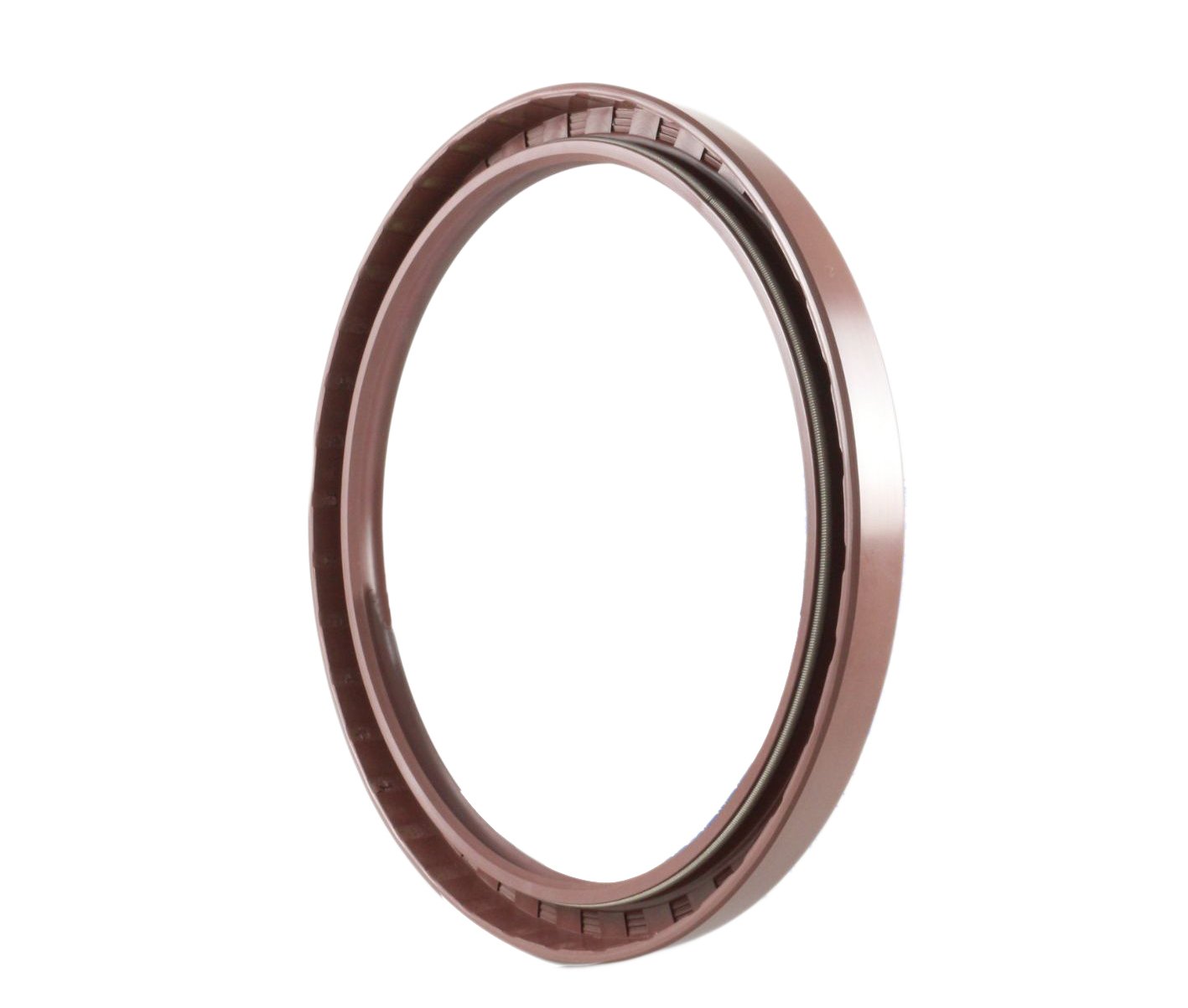 EAI 160mm x 190mm x 15mm FPM/FKM TC Double Lip w/Stainless Steel Spring Oil Seal. Comp. /w Viton Shaft Seal