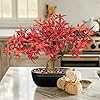 Product Photo 4