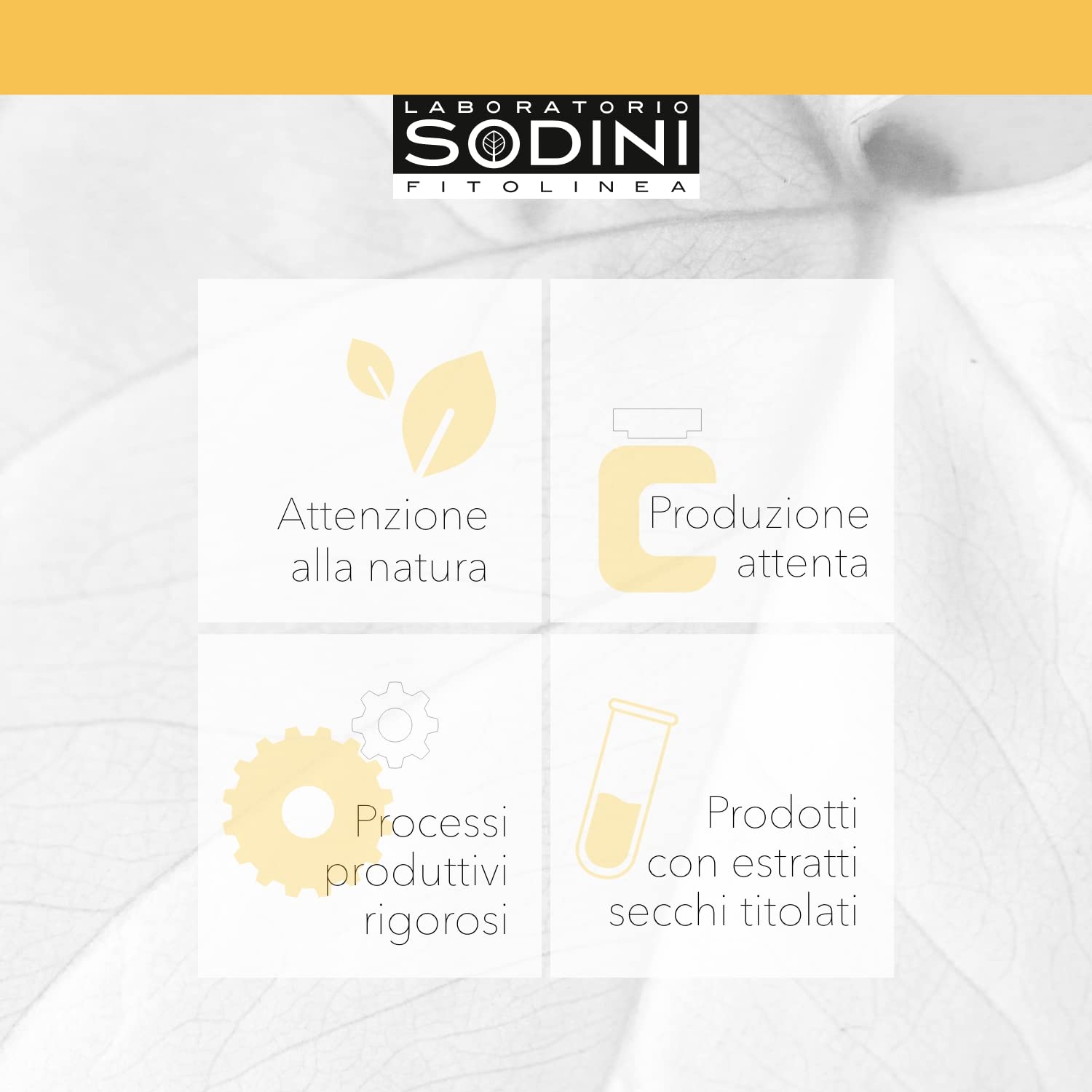Cytoreg - Integratore Alimentare - con Vischio, Curcuma, Quercitina, Spirulina e Aloe - Azione Antiossidante, per il Fisiologico Metabolismo Cellulare - 70 Capsule