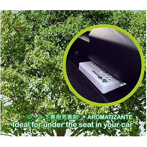 Tree Frog Xtreme Fresh Black Squash Scent 5 Pack, Treefrog Last Long, Large Size Car Air Freshener #TOP2