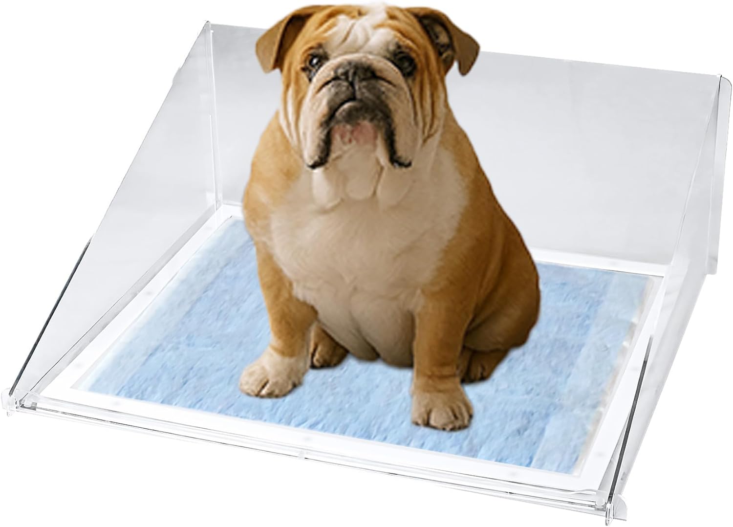 lululemon トライアスロンウェア トライスーツ ルイガノ製 ルルレモン