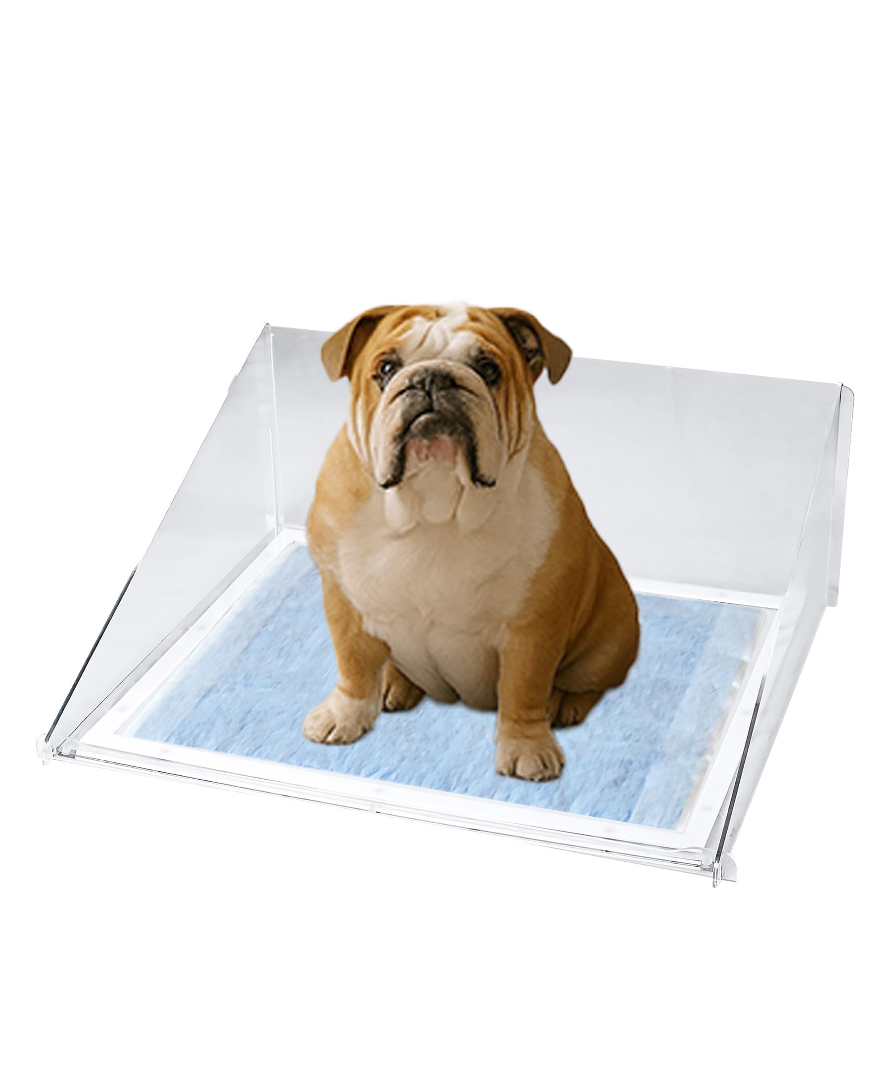 Amazon | ottostyle.jp アクリル トイレトレー 犬 ワイド 滑り止め付