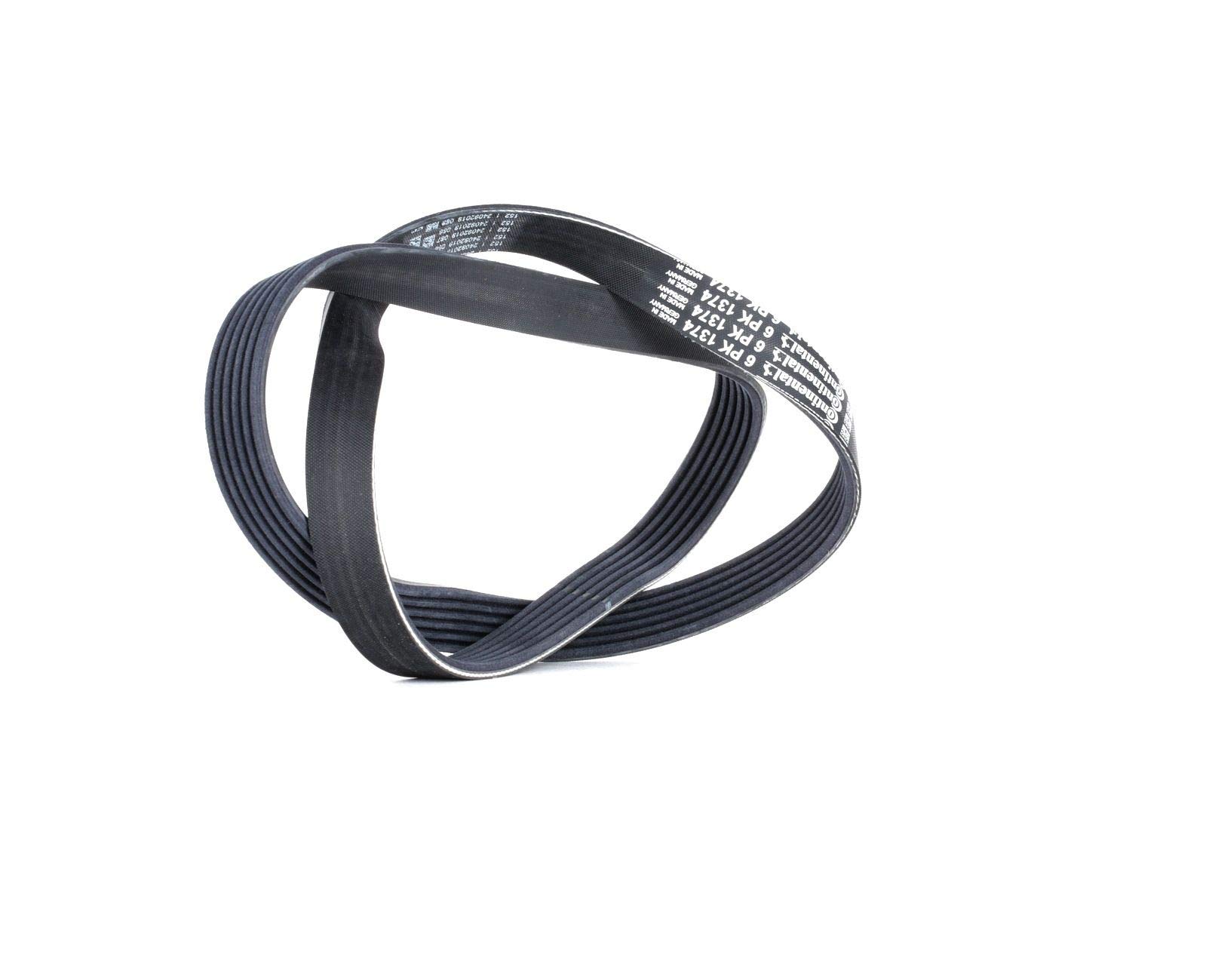 Contitech 6PK1374 Loose Multi-V Belt