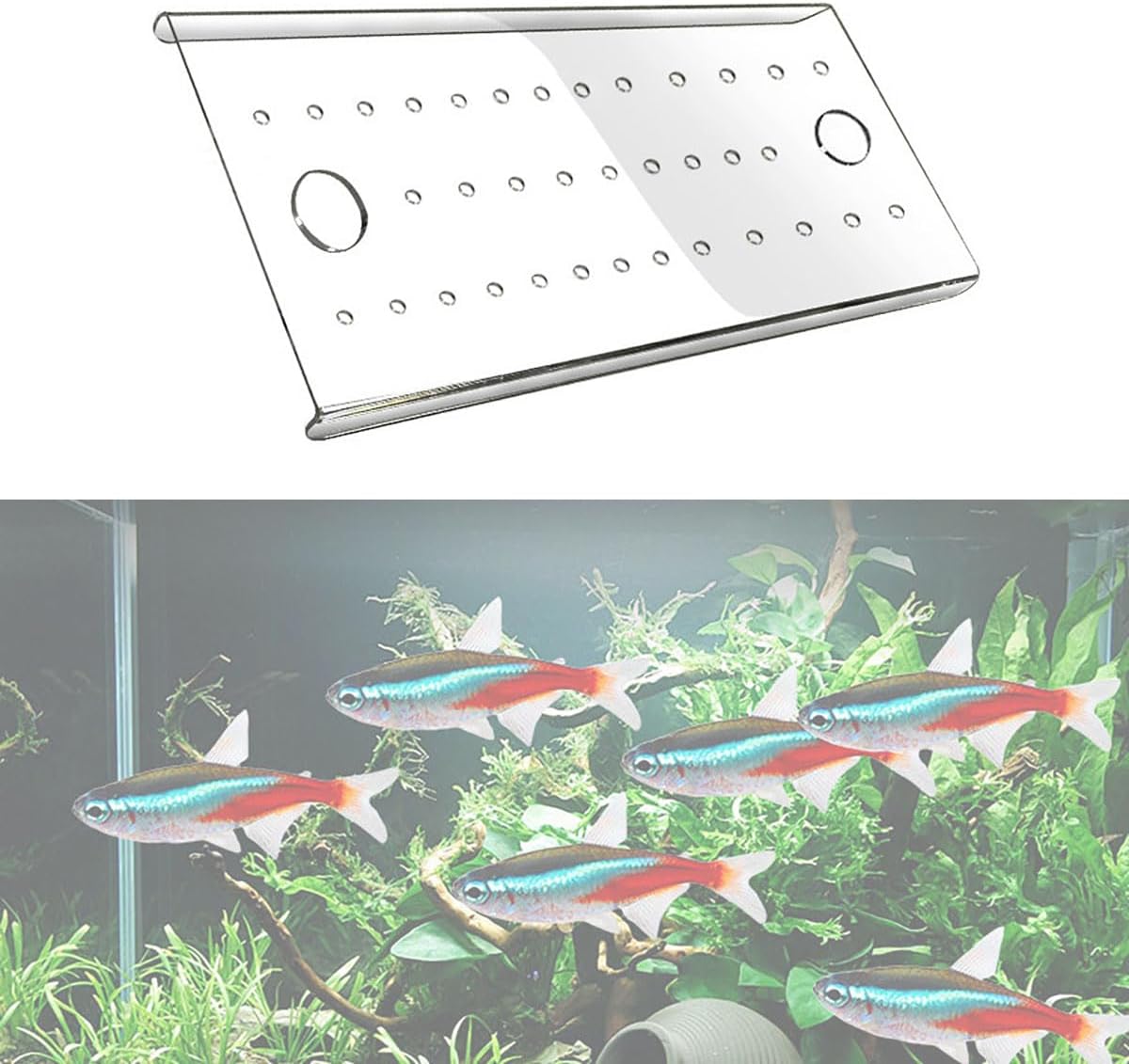 Secure Aquarium Lid – Cat-Proof & Jump-Resistant Design, Ventilated Clear Acrylic Cover with Adjustable Airflow Holes, Custom-Cut Fit for Any