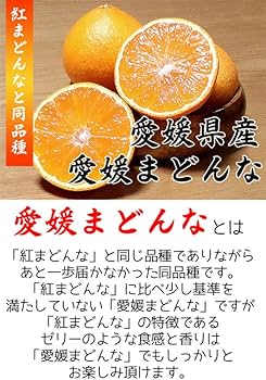 Amazon.co.jp: 愛媛まどんな (紅まどんな同品種) 5Lサイズ 大玉