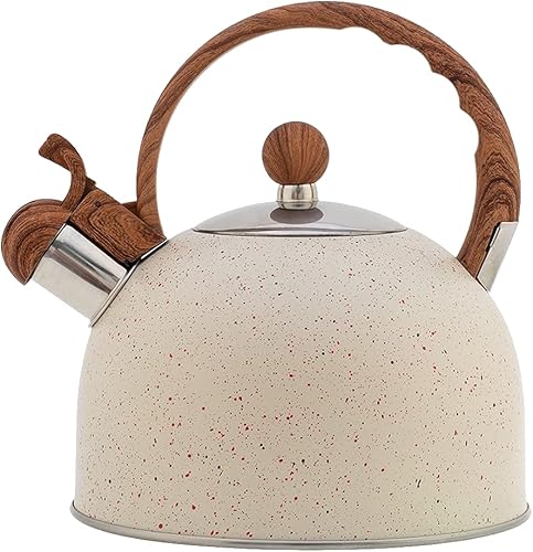 Hervidor de té, tetera de acero inoxidable, tetera para estufa, tetera silbante para estufa, tetera silbante de cocina, hervidor de té con mango