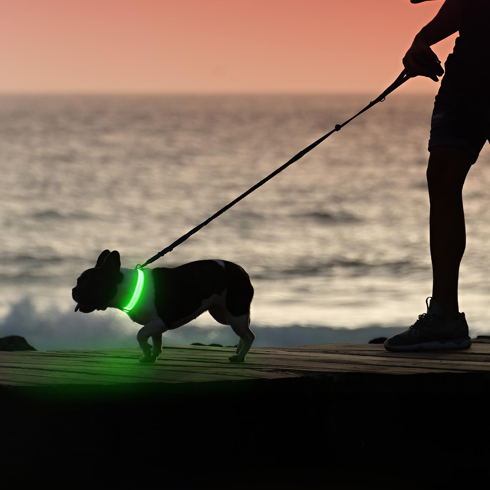 Collier pour chien Illumifun rechargeable par USB avec LED, collier lumineux réfléchissant pour chien, collier pour chien avec éclairage pour la marche nocturne (VertⅢ, Grand)