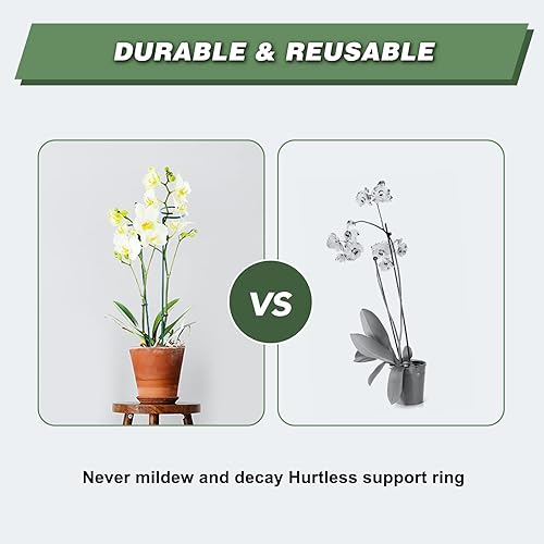 Miniatura 6 de Joyhalo Paquete de 12 estacas para plantas, estacas de soporte para plantas de 16 pulgadas, soporte de palos para plantas con 24 lazos giratorios,