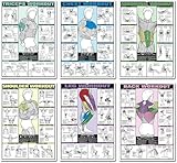 Workout Chart Posters Set - 6PCS for Triceps, Shoulder, Leg, Back, Chest, Abdominal Exercises