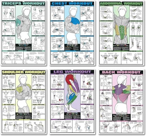 Workout Chart Posters Set - 6PCS for Triceps, Shoulder, Leg, Back, Chest, Abdominal Exercises