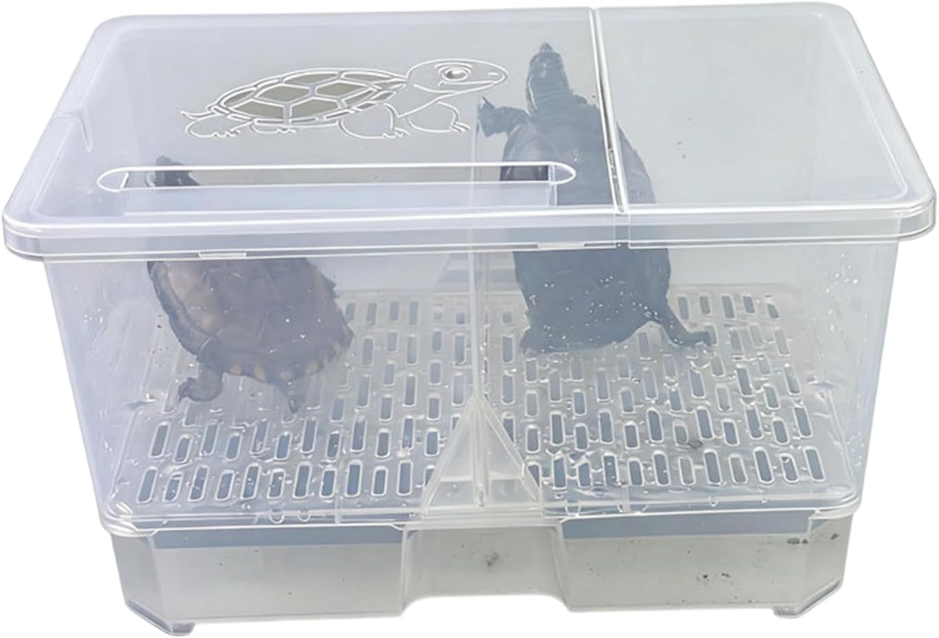 Spacious Reptiles Housing Container Observation Window Waste Collection Tray Large Lizards Habitat Box Featuring Ventilated Cover