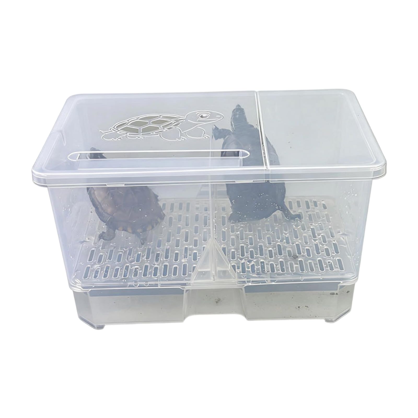 Réservoir pour reptiles avec fenêtre d'observation pour lézard et serpent