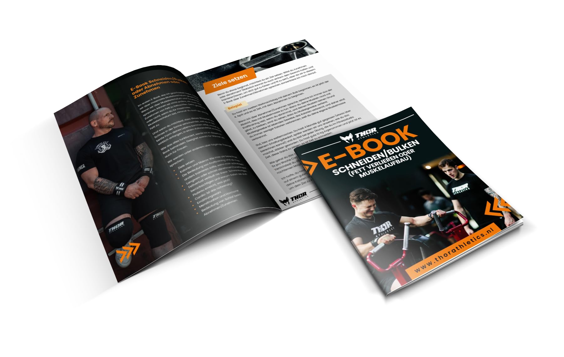 Thor Athletics Cintura Palestra, Cintura Sollevamento Uomo Donna, Cintura Powerlifting, In Vera Pelle