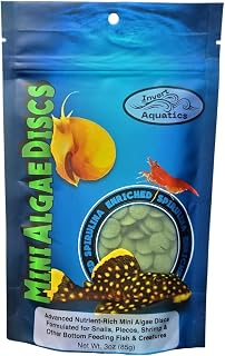 Invert Aquatics Mini Algae Discs - Sinking Diet for Snails, Shrimp & Bottom Feeding Fish (3 oz (85g))