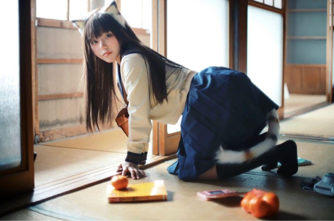 Amazon.co.jp: 凸守たかね 写真集 冬の体温は猫から : おもちゃ