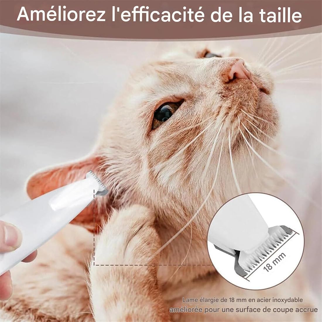 Tondeuse de Toilettage GrosMatou — Douceur & Sécurité, Tondeuse Chat Chien Silencieuse, LED Intégrée, Ne Blessera Pas Votre Chat, Rechargeable USB, Étanche (1p)