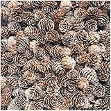 KY-Tech Snow Pine Cones 100pcs Christmas Pine Cones 2-3cm Mini PineCones Decorations PineCones for Craft Wreaths & Garlands Decorations Christmas Party (2-3CM)
