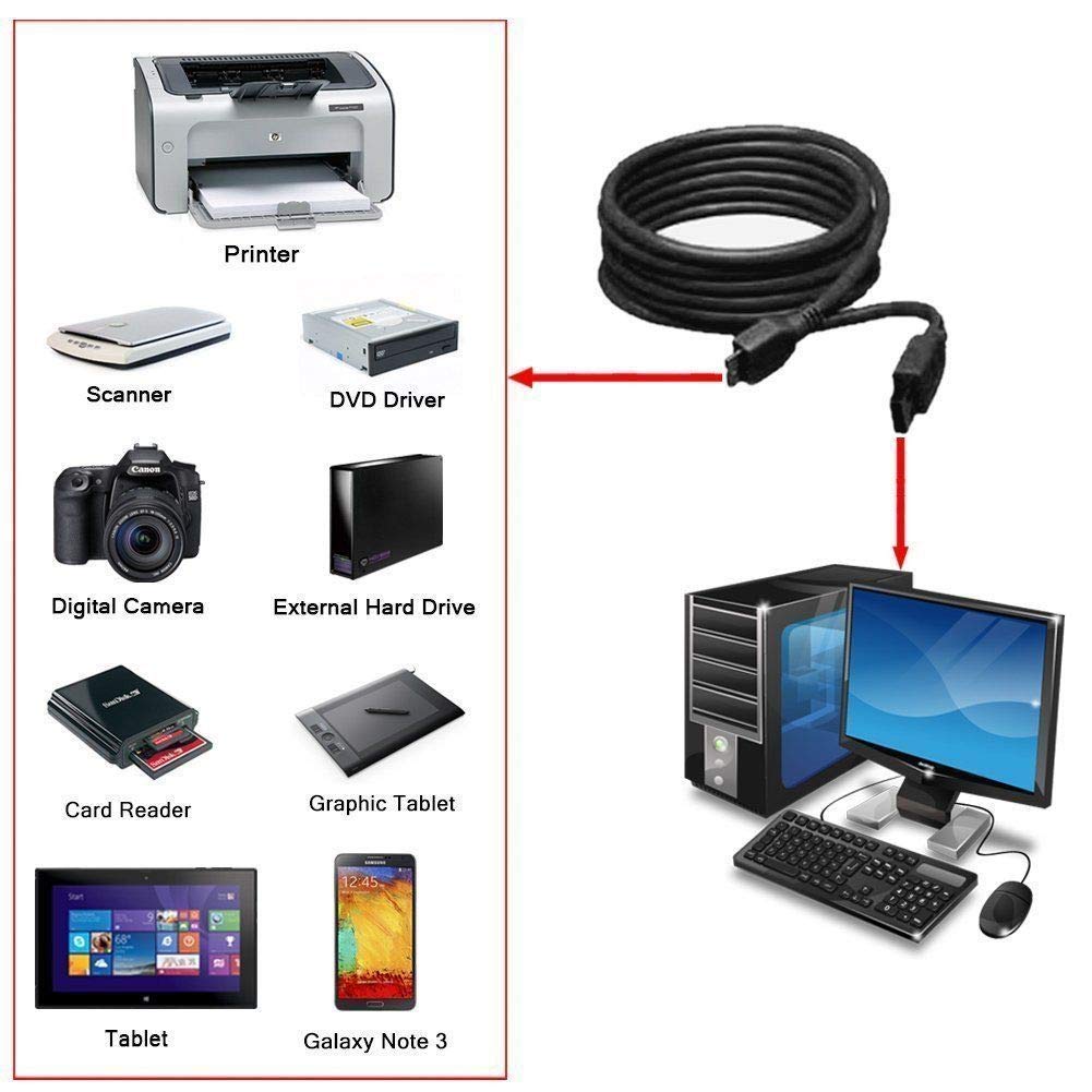Ecco The Dolphin Megadrive Para Disco Duro Externo - Compatible Con Buffalo Y Otras Marcas, Transferencia Rápida Cable Usb 3.0