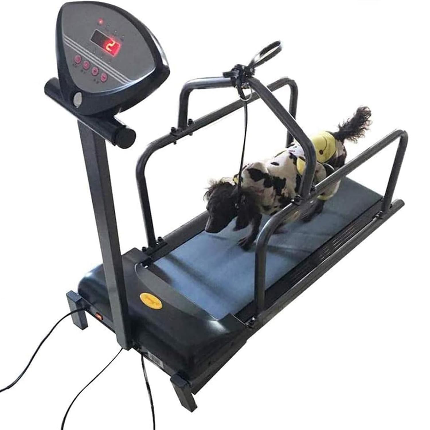 Cinta de Correr para Perros, Equipo de Ejercicio para Patio, casa, Interior, Ejercicio y pérdida de Peso, con Pantalla LCD