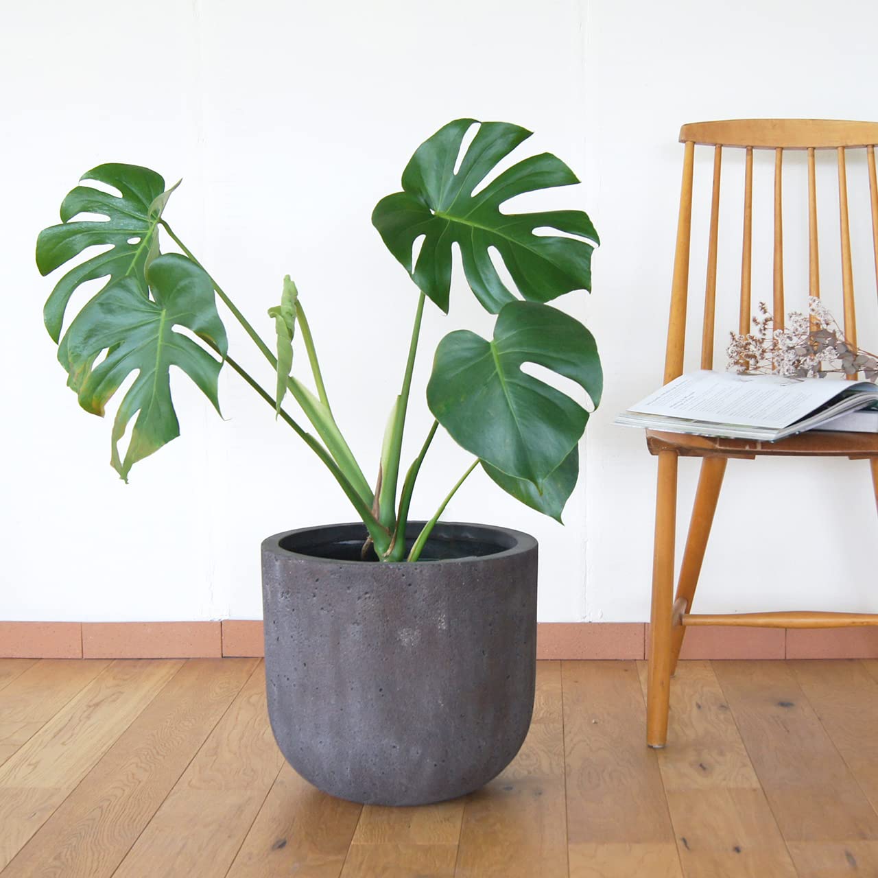 Amazon.co.jp: 植木鉢 大型 バルゴ イグニアス M 40 チャコール : DIY