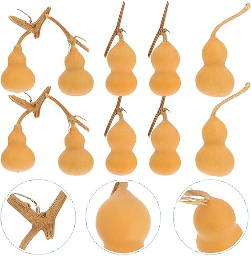 Miniatura 7 de 10 piezas de calabaza natural mini calabaza calabaza secas calabazas artesanías adornos de calabaza Hu Lu decoración de escritorio original calabaza