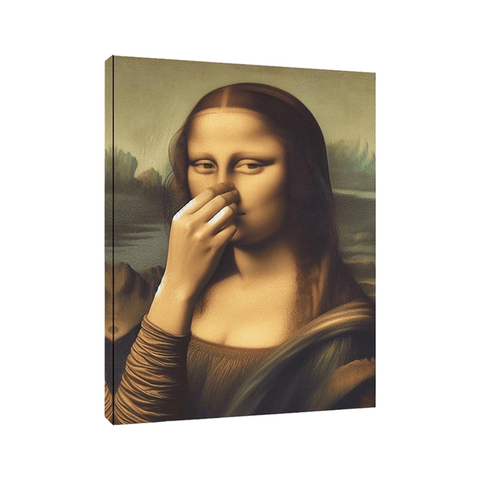 Mona Lisa divertida: arte de baño para transformar paredes aburridas 8