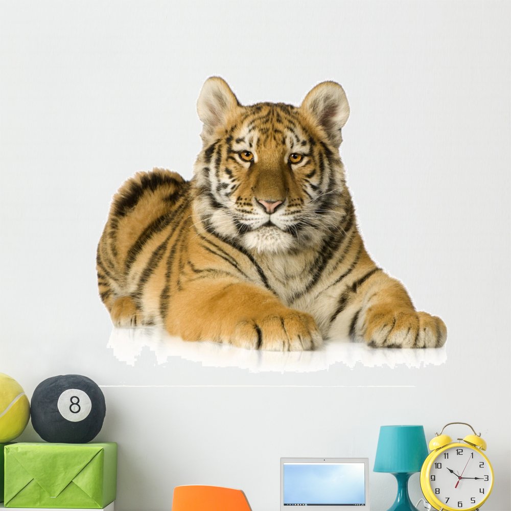 Wallmonkeys Tiger Cub (5 Months) Peel and Stick Wall Decals WM229718 (48 in W x 35 in H)