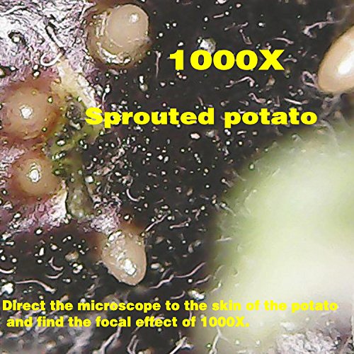 zhenrong 20–1000 x mignification USB Digital Mikroskope Vergrößerungsglas Lupe 8 LED 2.0 MP Kamera Objektiv für Windows/Linux/MacBook/Vista – Bild 7