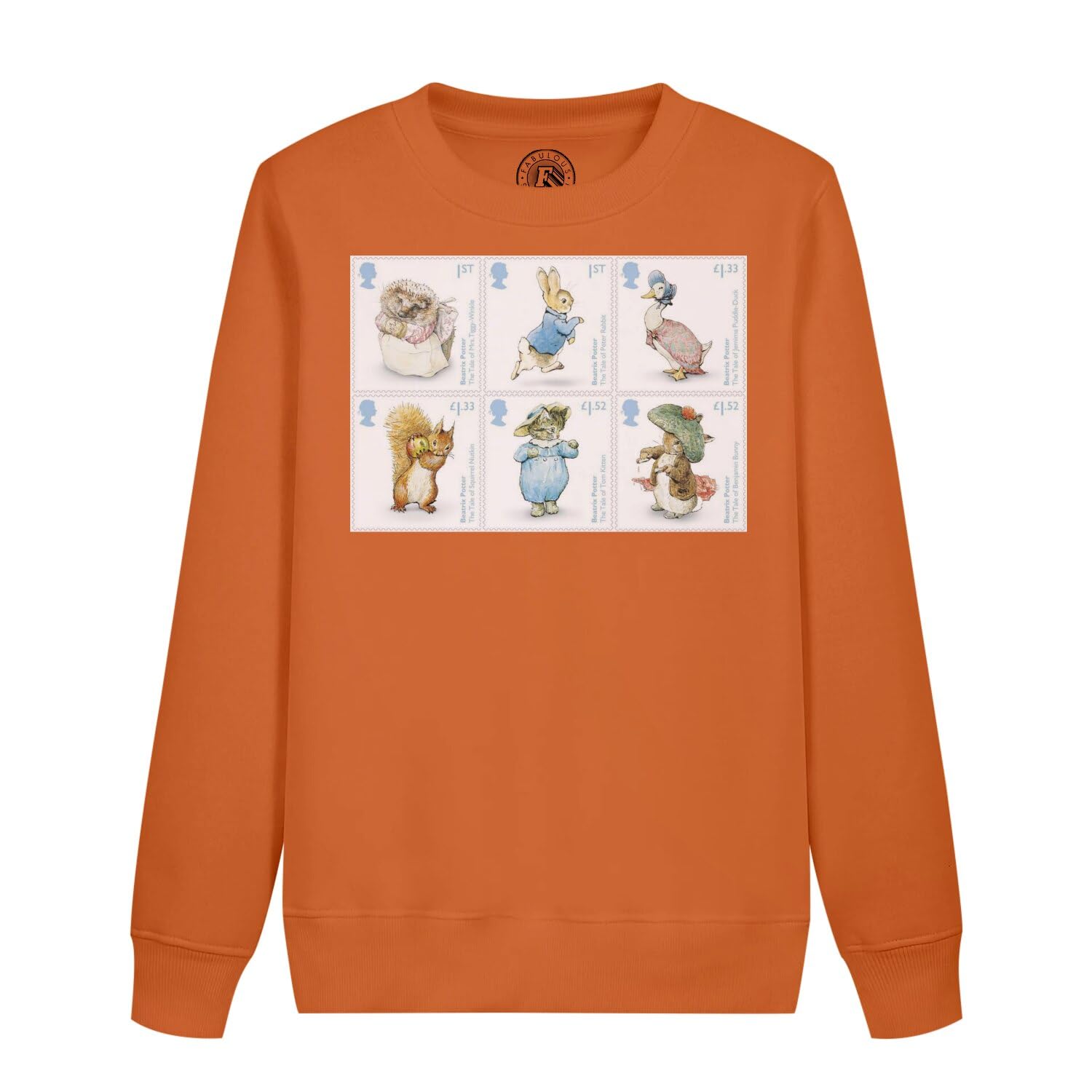 Sweat enfant illustration Beatrix Potter idéal pour l'école et le parc