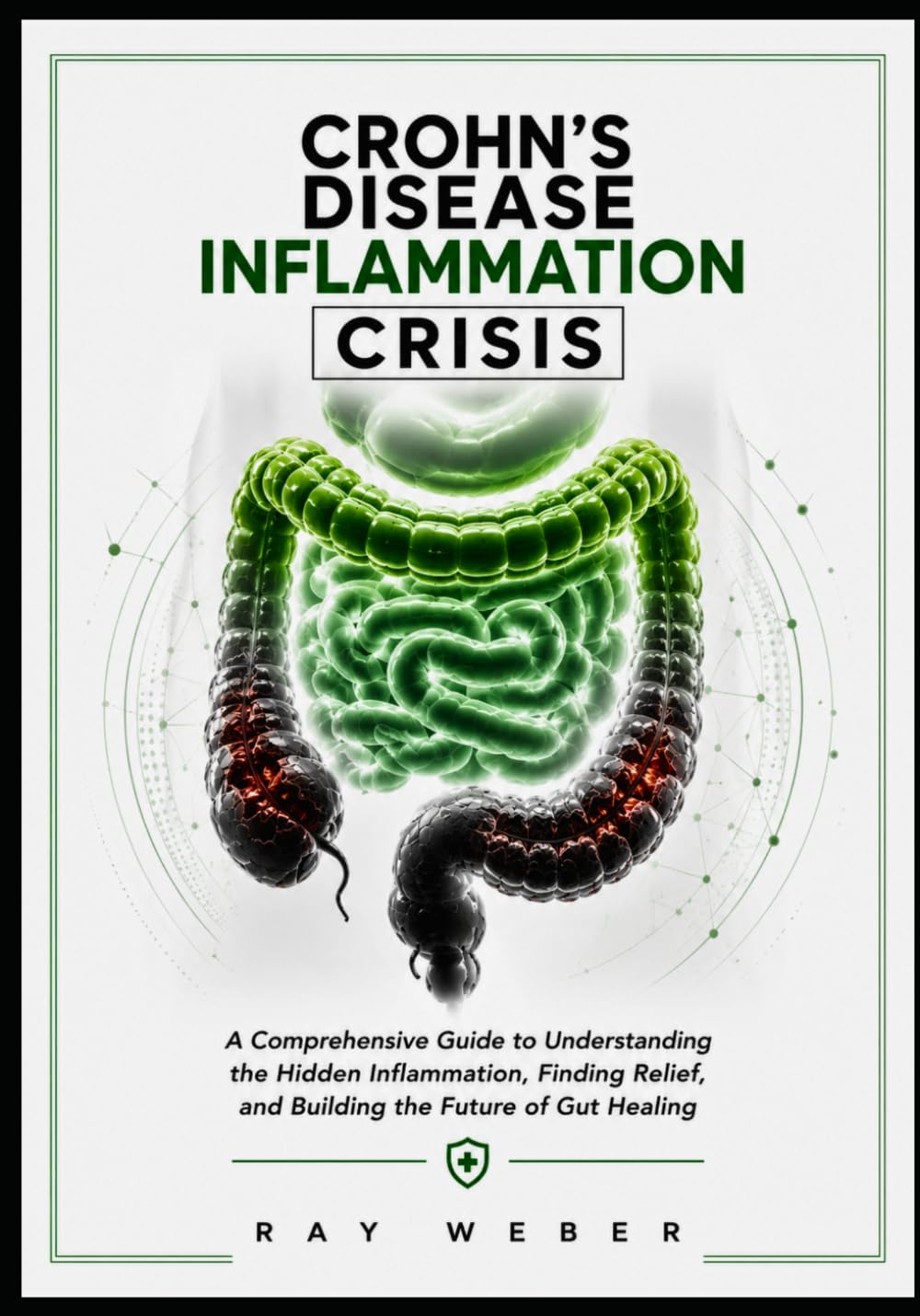 Crohn's disease Inflammation Crisis: Understanding the Hidden Damage, Modern Treatments, and the Future of Gut Healing