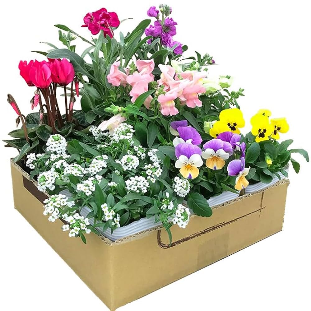 てとページ 20/80 財布 「20/80」トゥエンティーエイティー/ TOCHIGI