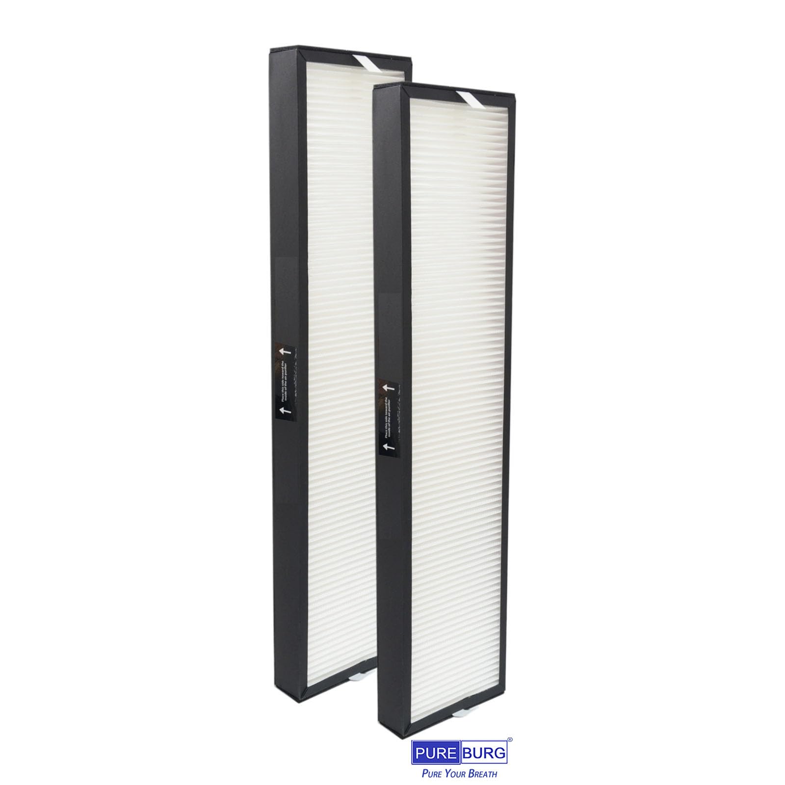 Amazon.com: PUREBURG 182550 Replacement Filter Compatible with