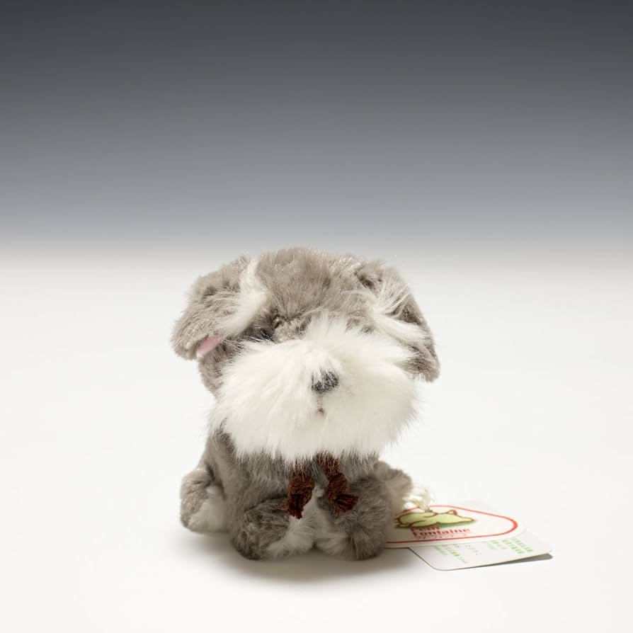 Amazon.co.jp: たけのこ キャンディフォンテーヌ シュナウザー