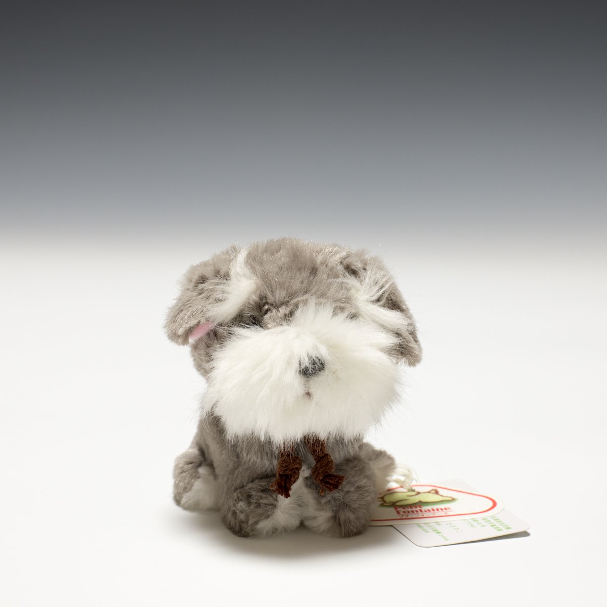 Amazon.co.jp: たけのこ キャンディフォンテーヌ シュナウザー