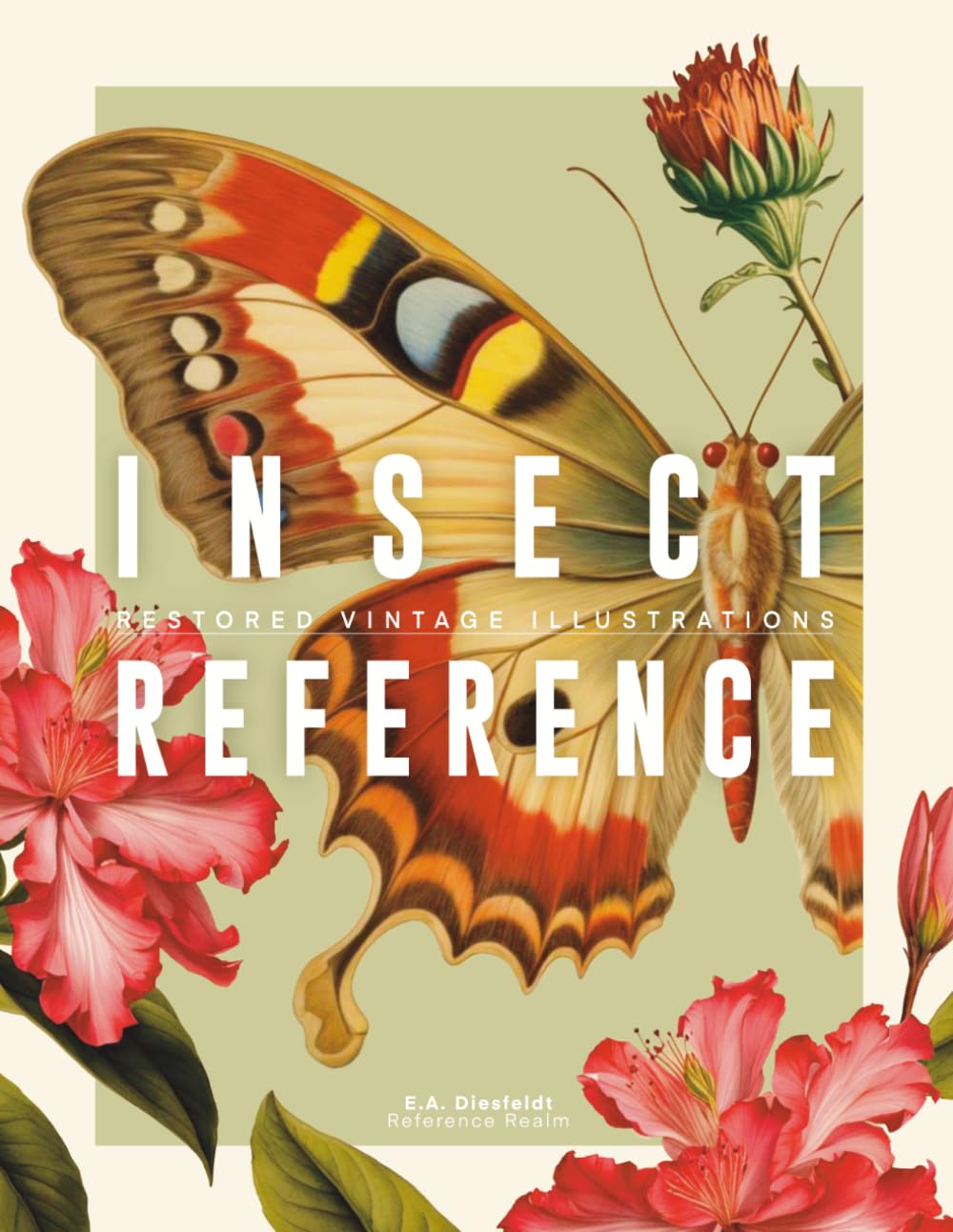 Insect Reference Book: Restored Vintage Illustrations for Artists and Designers (Reference Realm)