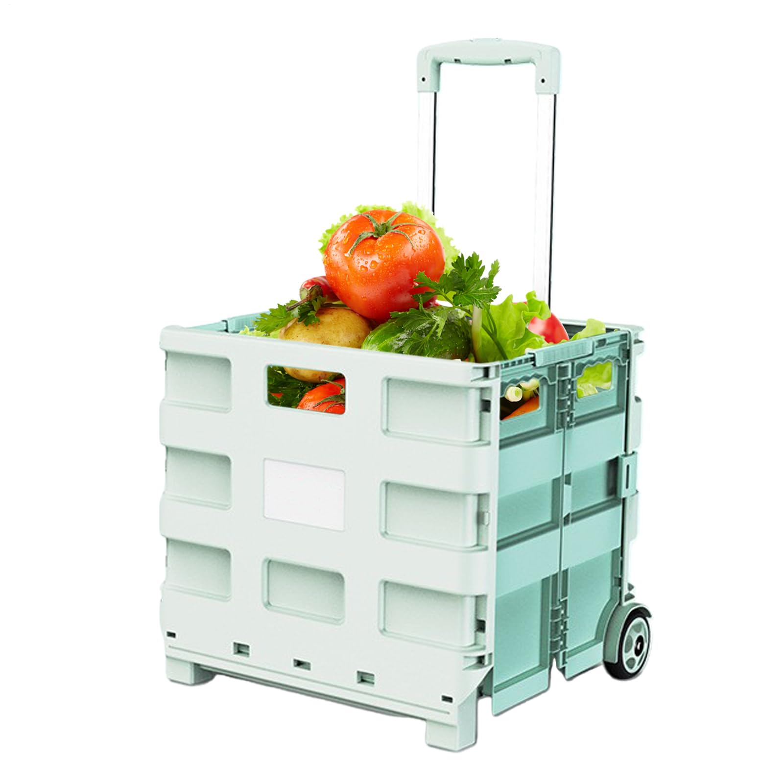 Carrello della Spesa con Ruote Organizzatore Pieghevole con Maniglia in | Carrello Utilitario per la Spesa con Ruote per Casa Giardino Campeggio Pesca Picnic Viaggi Trasporto e Trasloco