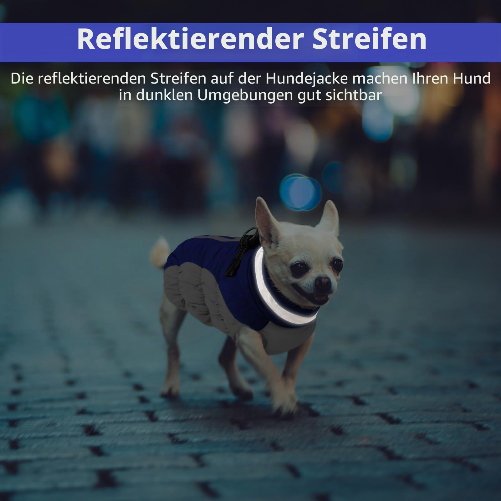 CITÉTOILE Winter Hundemantel mit Geschirr für Mittel Hunde Blau M