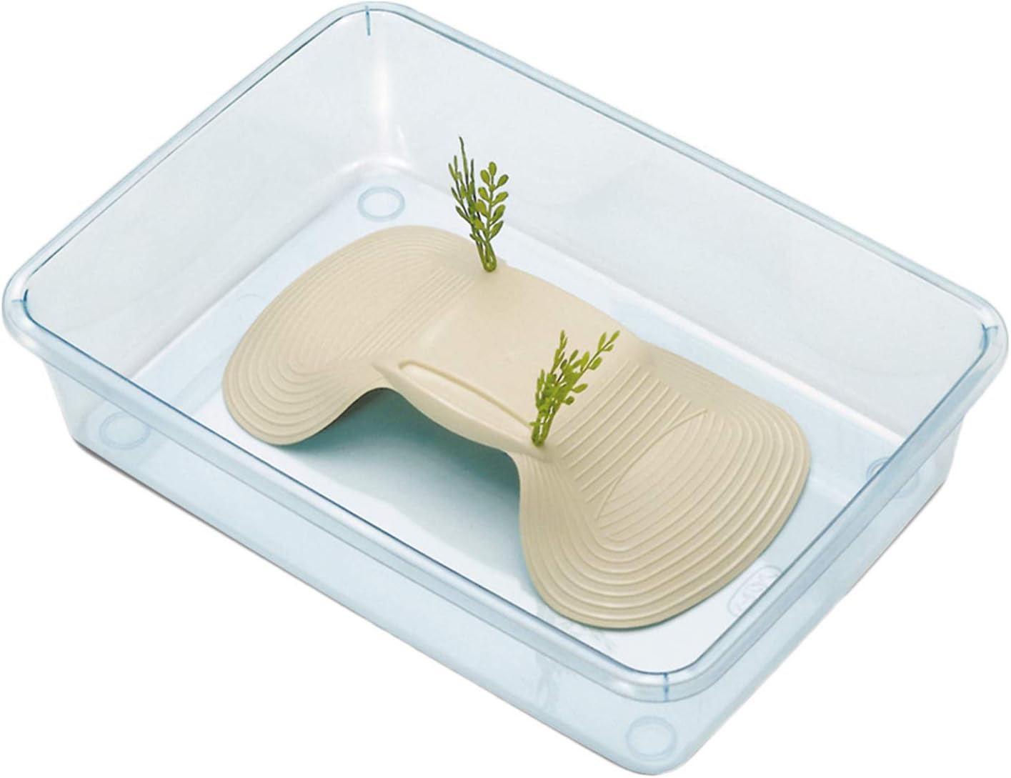 arquivet 8022967016674 – tortuguera asthera Small