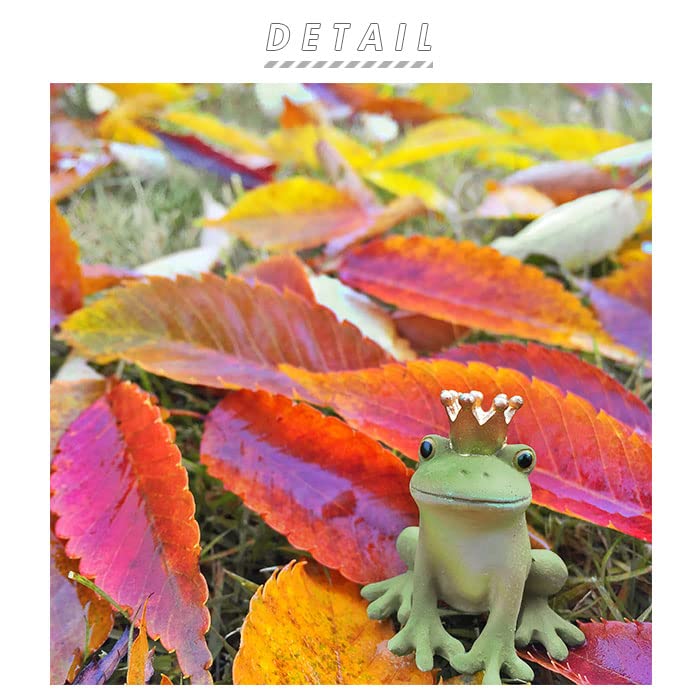 Amazon.co.jp: Kopo 79205 Reading Frog, Width 2.2 x Depth 2.2 x