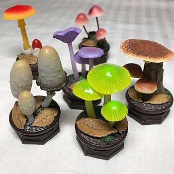 Amazon | きのこ立体図鑑2 全種類コンプリートセット