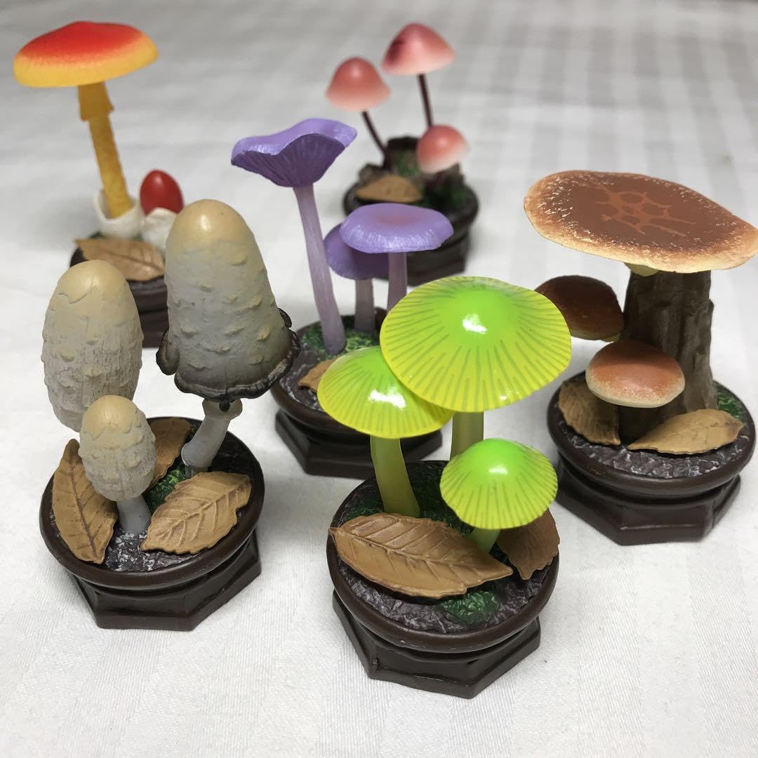 きのこ立体図鑑　全6種　コンプリートセット　ガチャ Amazon | きのこ立体図鑑 全6種セット ガチャ ガシャポン