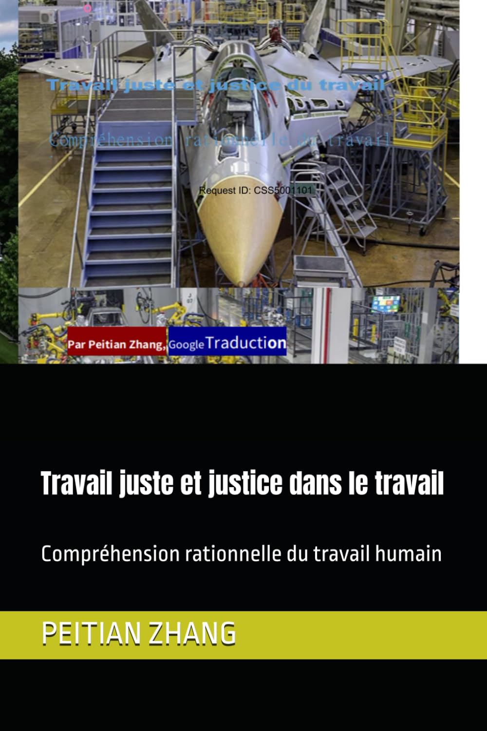 Travail juste et justice dans le travail: Compréhension rationnelle du travail humain (peitian zhang)