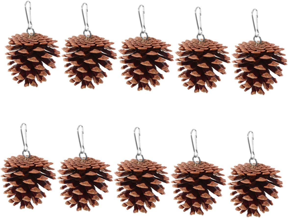 10pcs Parrot Natural Pine Cone Bird Chew Hanging Foraging 4-5cm Round Hook Set for Cage Accessories Pet Chewing and Beak Grinding