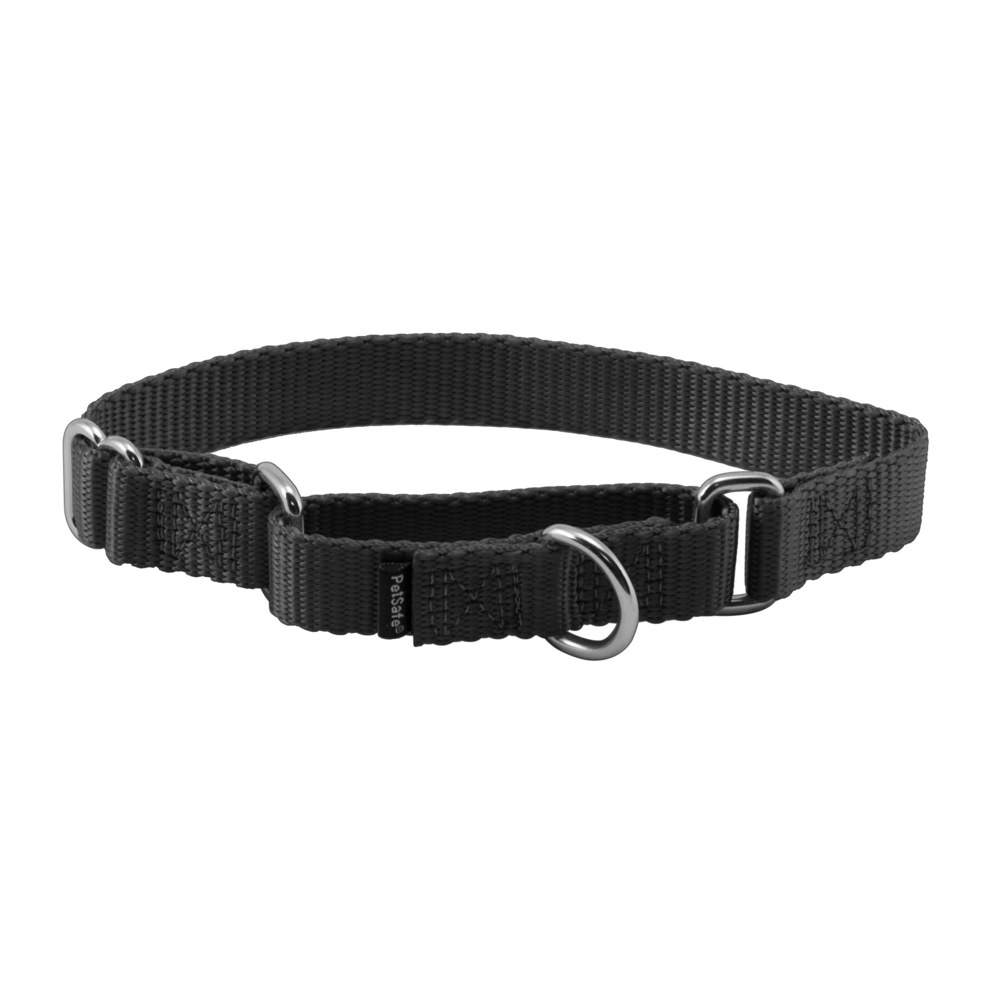PetSafe Martingale Dog Collar – Small, 3/4 Inch, Black
