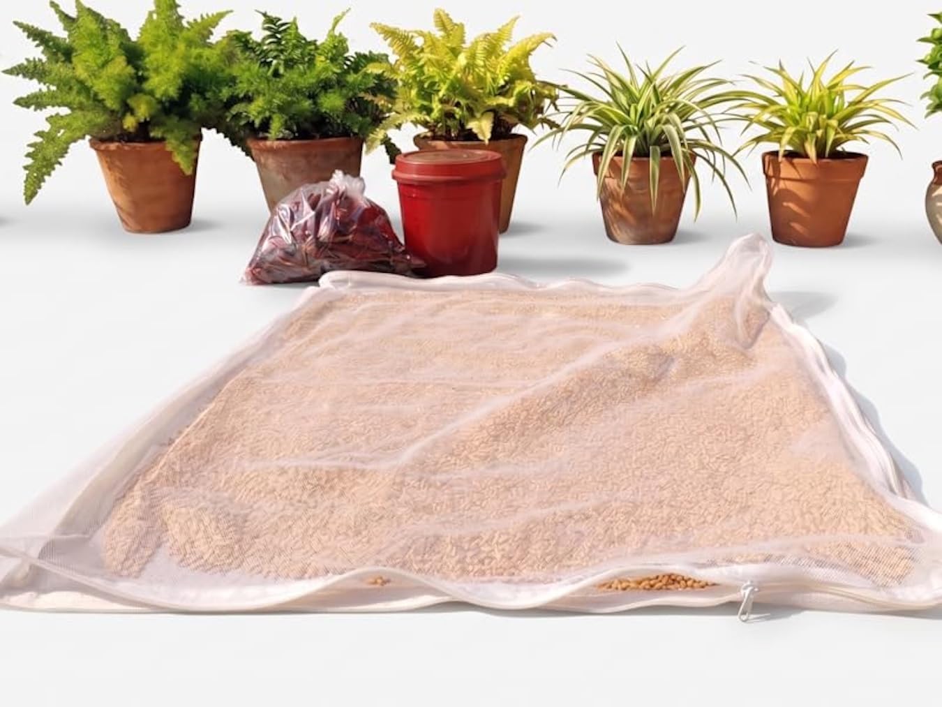 AACHEN (Pack of 1 Cotton Drying Cloth with Net, Off White, 73 x 91 cm, Breathable, Washable, Reusable, for Papad, Vadagam, Spices, Millets and to Dry Mango for Pickle-image-49