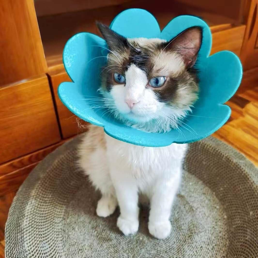 エリザベスカラー 猫 犬 、猫 保護カバー、舐め防止 エメナルド L Amazon | エリザベスカラー猫 犬 、猫 保護カバー、舐め防止、引っ掻き