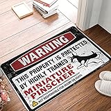 Felpudo para puerta delantera de casa de campo con advertencia, esta propiedad está protegida por un felpudo miniatura altamente entrenado, ¿cómo por qué estás aquí? Tapete decorativo para recámara