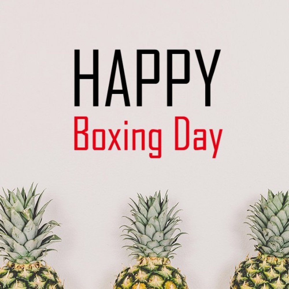 Sticker mural amovible Boxing Day décoration murale DIY pour chambre 20cm