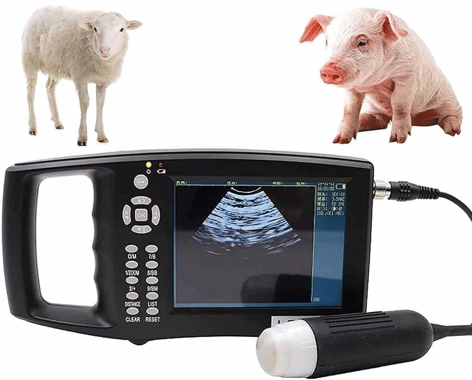 WYWY Zestaw weterynaryjnego skanera ultrasonograficznego – przenośna maszyna do testowania ciążowego HD z sondą mechaniczną dla świń i owiec – idealna do testowania ciążowego na zwierzętach