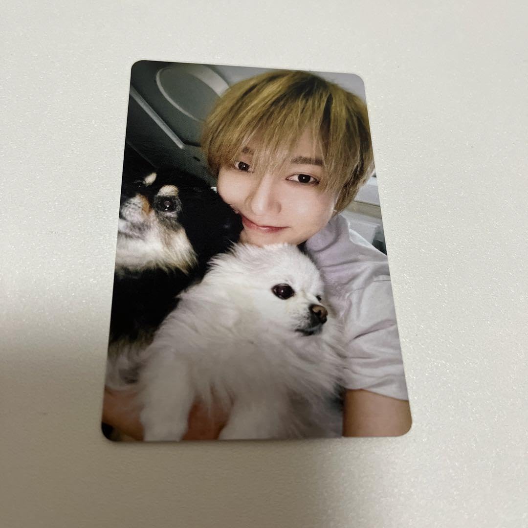 Amazon.co.jp: SUPER JUNIOR イェソン トレカ : おもちゃ